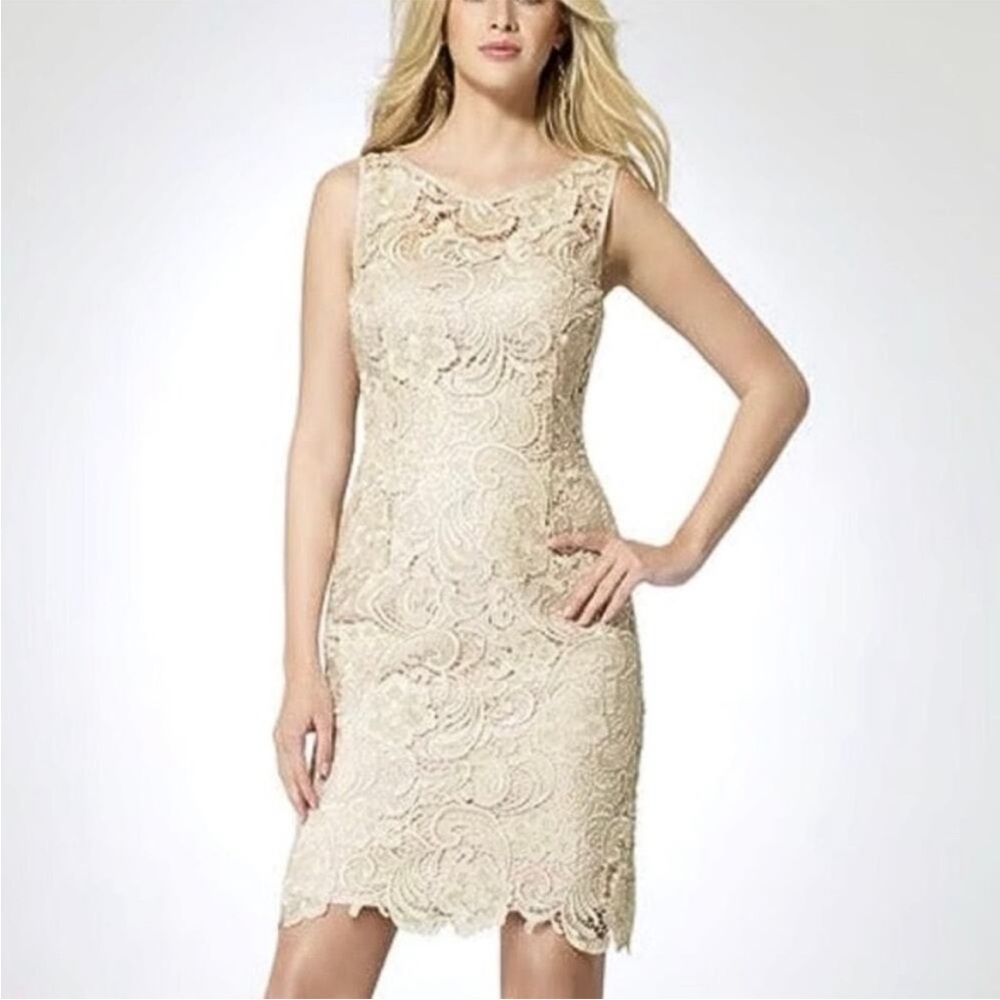 Cache Lace Cocktail Sheath Dress Cream Ivory Off White Sleeveless Elegant Size 4